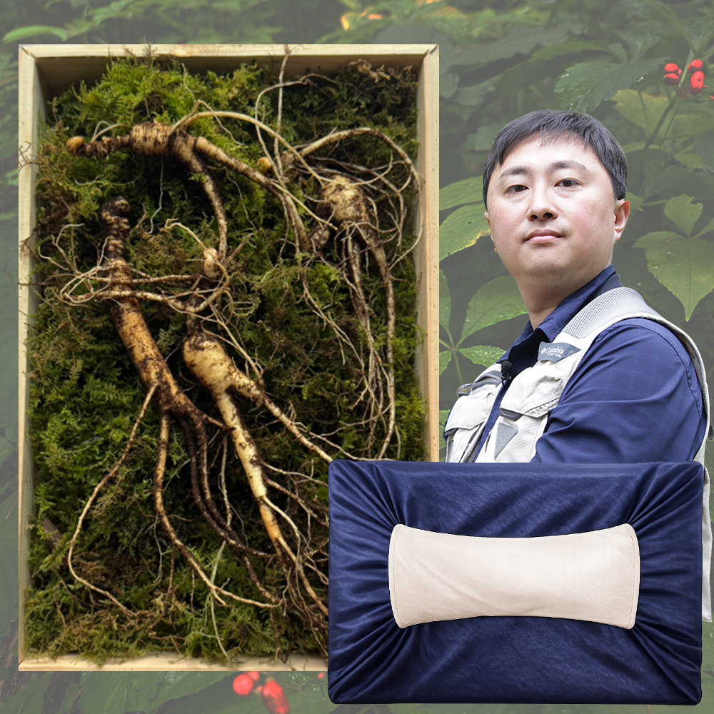 산삼 산양삼 장뇌삼 10년근 뇌두5개이상 3뿌리 선물세트 유재덕의산양산삼