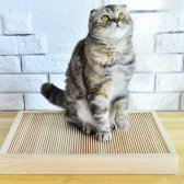 지아편백 고양이 스크래쳐 스크래처