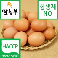 계란 쌀농부 (국산) 계란(일반란) 10알 (행복한 닭이 낳은 계란 입니다)