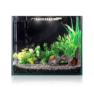 통나무 구피세트 (소)