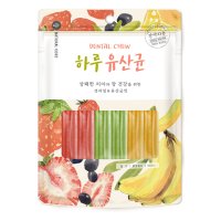 네츄럴코어 하루유산균 강아지 껌 단품형 6p/혼합형 12p