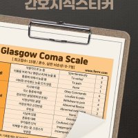 뽀너스 간호지식스티커 (GCS)