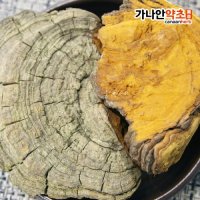 국내산 린테우스상황버섯 500g 뽕나무상황버섯