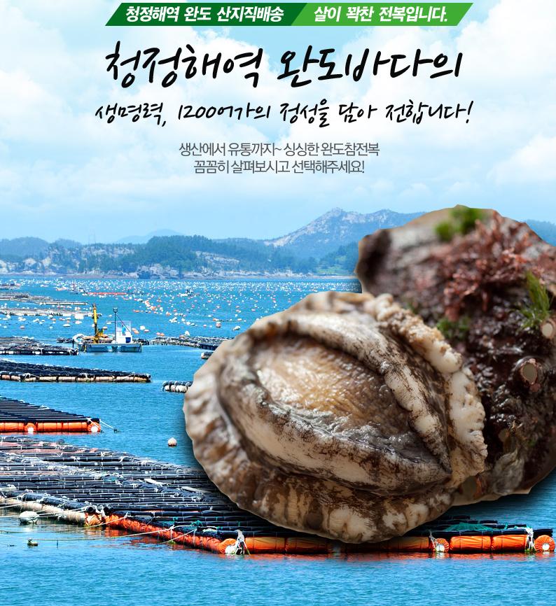 (전복선물세트) 완도9호 특대전복 1.5kg(1kg 8-9미) 선물포장
