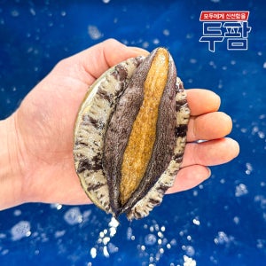 완도 손질전복 산소포장 활전복 1kg