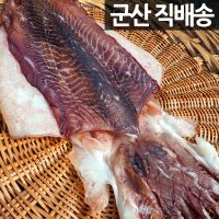 군산 반건조 갑오징어 대 특대 왕특 350g - 1.2kg