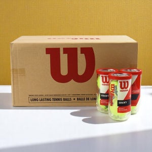 윌슨 챔피언쉽 테니스공 (36캔) 생활체육 시합구 캔볼 유압구