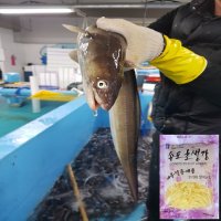 한려수도수산 갓 잡아 직접 손질한 최상급 자연산 바다장어 1kg 아나고 붕장어