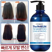 [더 빠른 샴푸 500ml 1개+패스트두피브러쉬 1개Set] 빠른 모발변신을위한 종결자!