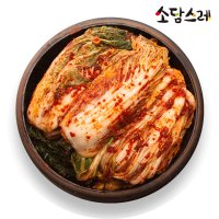 소담스레 국내산 포기 배추김치 세트