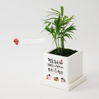 [메시지화분]-결혼축하해