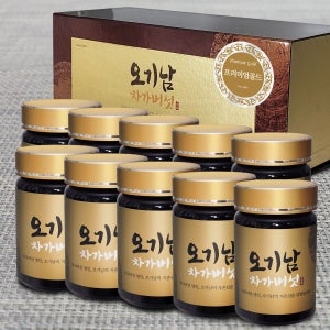 오기남차가버섯 프리미엄골드 추출 분말 가루 대용량, 100g, 10개