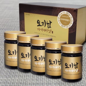 오기남차가버섯 프리미엄골드 추출 분말 가루 대용량, 100g, 5개