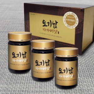 오기남차가버섯 프리미엄골드 추출 분말 가루 대용량, 100g, 3개