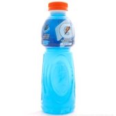 게토레이 블루 볼트 600ml