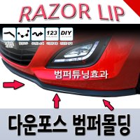 범퍼보호 범퍼몰딩 범퍼튜닝 신형제네시스 LF소나타 쏘렌토 말리부 매그너스이글 토스카