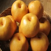 햇 추황배 /신고배 가정용 7.5kg