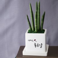 [캘리그라피 메세지화분] 생겨요.. OOO