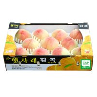 햇사레 복숭아 감곡 도림농원 황도 백도 천중도 미백 엘바더 산지직송 GAP (농산물우수관리)인증