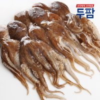 냉동 쭈꾸미 1kg 10마리 내외 태국산 주꾸미