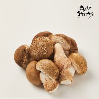 맛있는 산지직송 순천향 송화버섯 일반형 1kg 송고 송화고 표고 국산 생 버섯