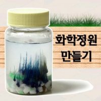 화학정원만들기 5명1세트