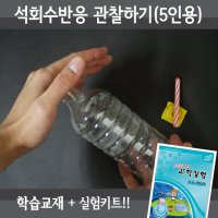 석회수반응관찰하기 5인용세트