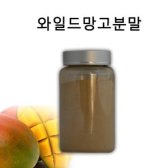 NUTRACEUTICALS INTERNATIONAL GROUP 와일드망고 추출물 분말