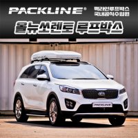 올뉴쏘렌토 루프박스 캐리어 FX-SUV 화이트