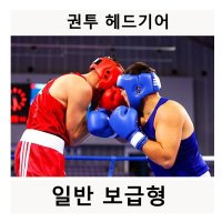 권투 태권도 킥복싱 스파링 복싱 헤드기어 안면보호대