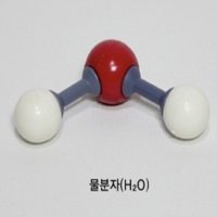 분자구조만들기키트