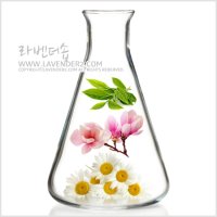 멀티나트로틱스 (Naturotics/산화방지제/한방천연보존제) 20ml