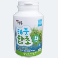 동결건조 해풍 함초환150g