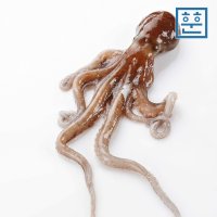 냉동 활낙지 850g