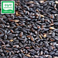 친환경 무농약 흑찰현미 800g [산지직송] 흑미