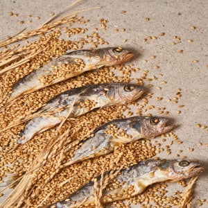 법성포 영광 보리굴비 20미 국내산 참조기 선물세트