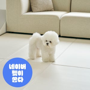 [폴딩70x60cm] 디팡 4mm 펫 미끄럼방지 강아지 고양이매트 애견매트 슬개골 반려견