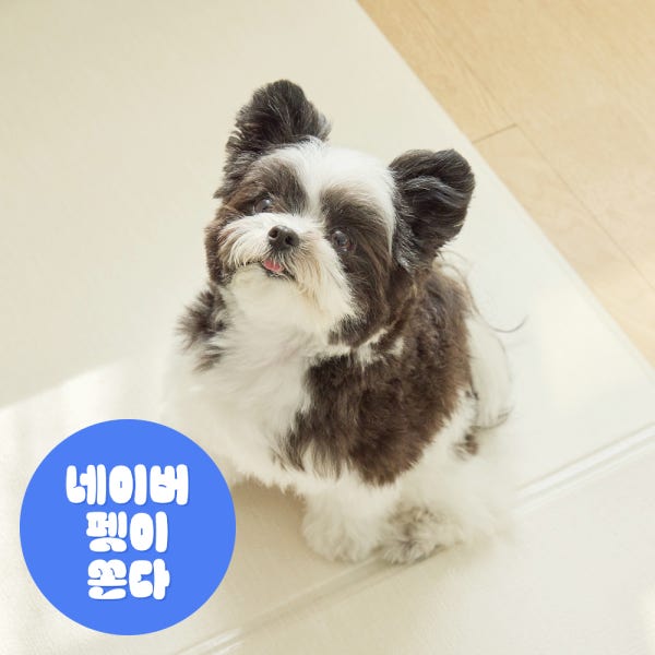 [폴딩70x60cm] 디팡 4mm 펫 미끄럼방지 강아지 고양이매트 애견매트 슬개골 반려견