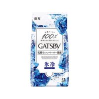 GATSBY 개츠비 갸스비 페이셜 페이퍼 아이스타입 42매입 휴대용 세안 물티슈(남성용)