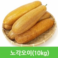 싱싱한 노각오이10kg 늙은오이 싱싱지오