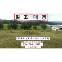 벌초대행 (경북 구미 김천 안동 상주 문경 군위 의성)