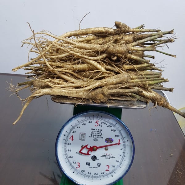 국산 약도라지, 나물용, 생도라지, 건도라지 금산 3년근 1kg