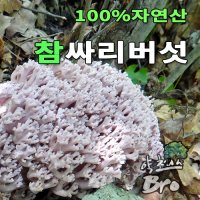 자연산 참 싸리버섯 2kg/ 야생 잡버섯 2kg