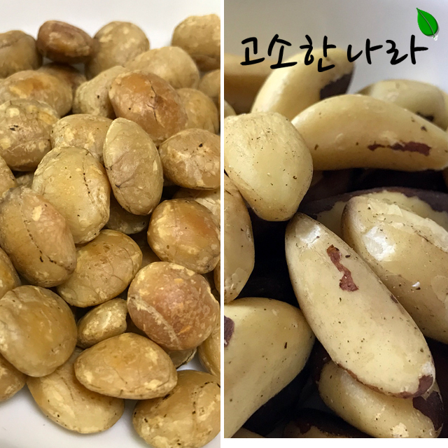 <b>사차인치</b> 500g/브라질너트