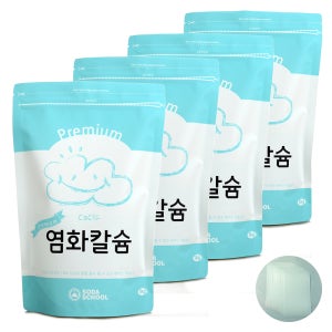 제습제 리필 프리미엄 염화칼슘1kg 4개+방수투습지8장 제습제 만들기