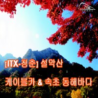 [코레일 기차] 설악산ITX 국내 당일치기(설악산케이블카+속초영금정) 강원도기차여행