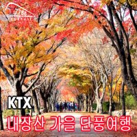 [KTX] 내장산 단풍열차, 대한민국 NO1.단풍...내장산 가을단풍 !/당일여행