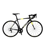 알톤 라레이 R2000A 로드자전거 2017년