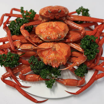 청춘홍게 박달홍게 박달대게 자숙 연지홍게