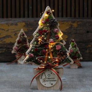 스칸디아모스 천연이끼 생화 화분 청정 식물 인테리어 액자만들기 DIY 거실 크리스마스트리